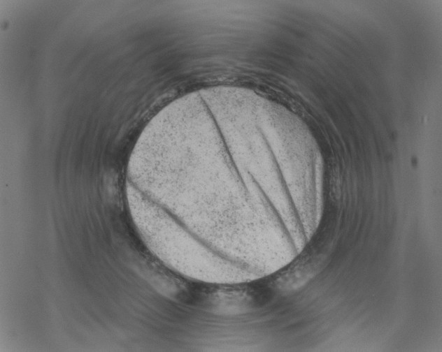 X0000068280270200605191901