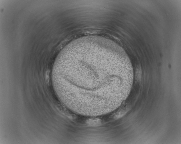 X0000068280271200605191901