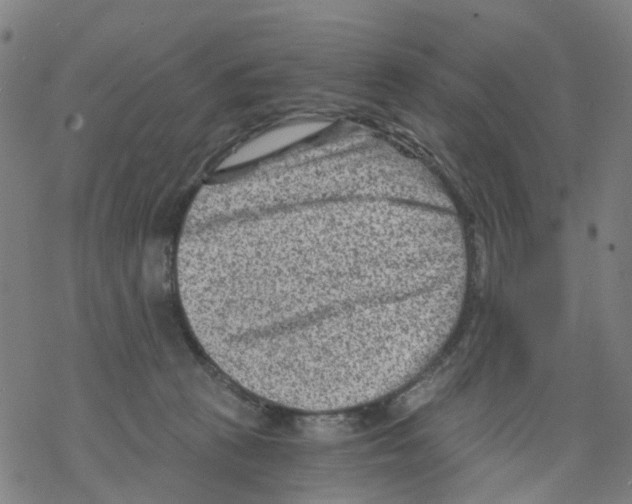 X0000068280273200605191901