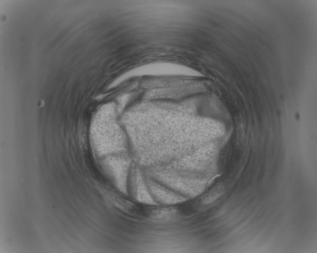 X0000068280274200605191901