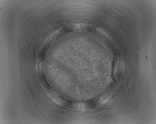 X0000068280276200605191901