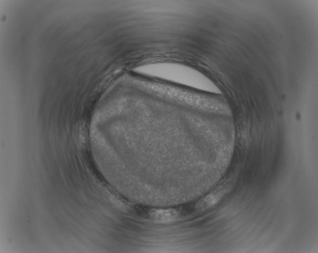 X0000068280277200605191901