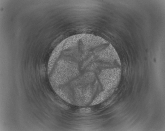 X0000068280279200605191901