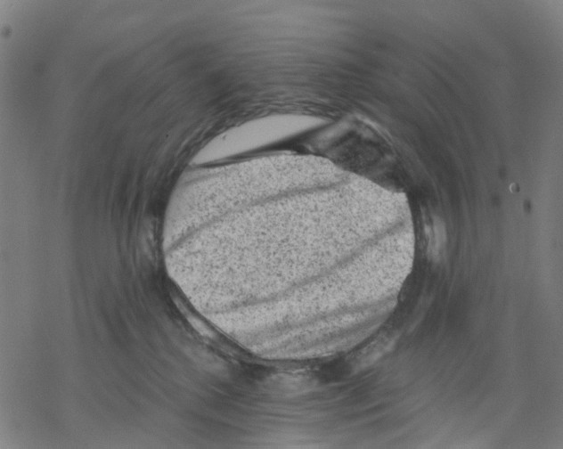 X0000068280280200605191901