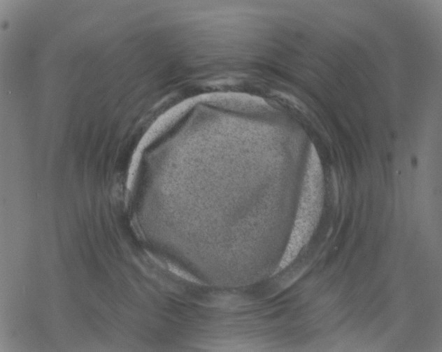 X0000068280284200605191901