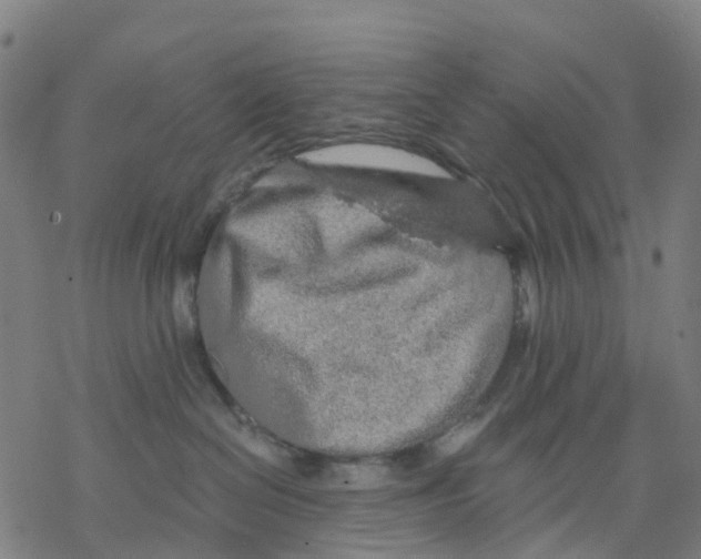 X0000068280286200605191901