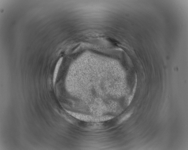 X0000068280288200605191901