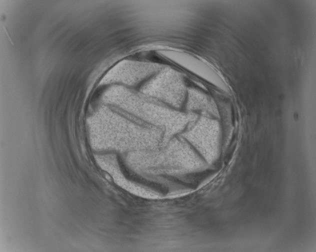 X0000068280289200605191900