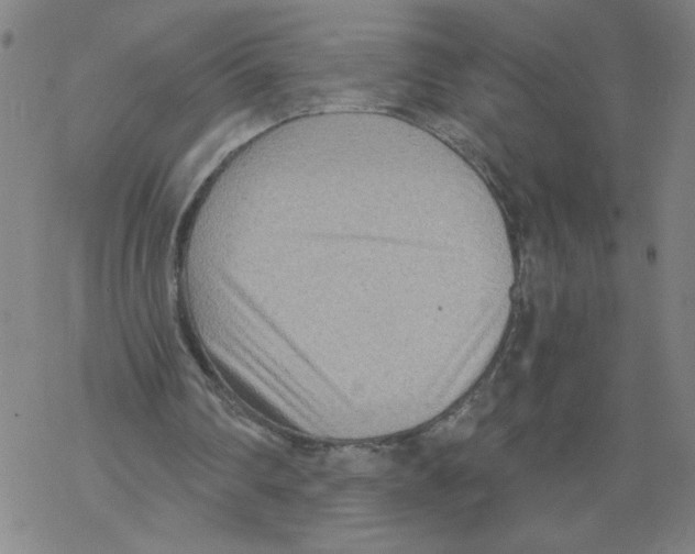 X0000068280290200605191900