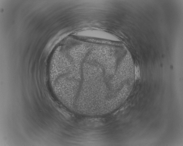 X0000068280291200605191900