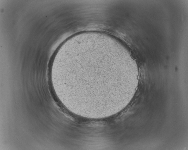 X0000068280292200605191900