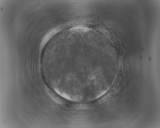 X0000068280293200605191900