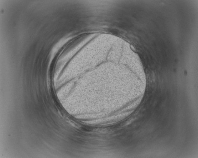 X0000068280294200605191900