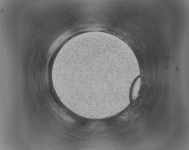 X0000068280296200605191900