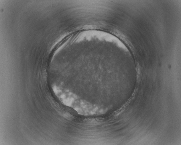 X0000068280297200605191900