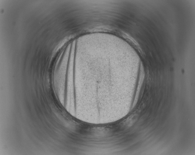 X0000068280298200605191900