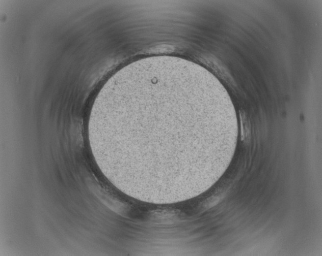 X0000068280300200605191900