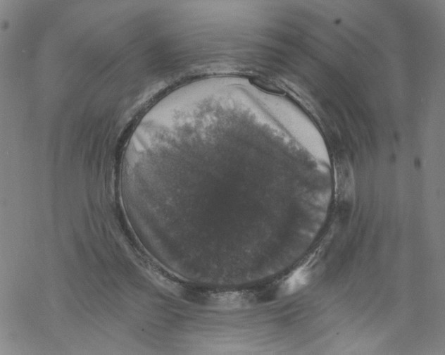 X0000068280301200605191900