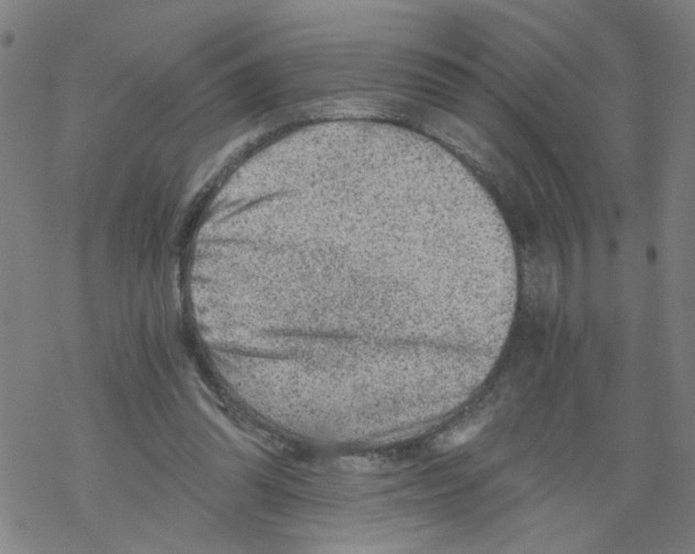 X0000068280302200605191900