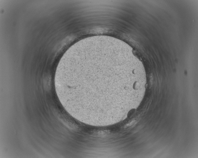 X0000068280304200605191900