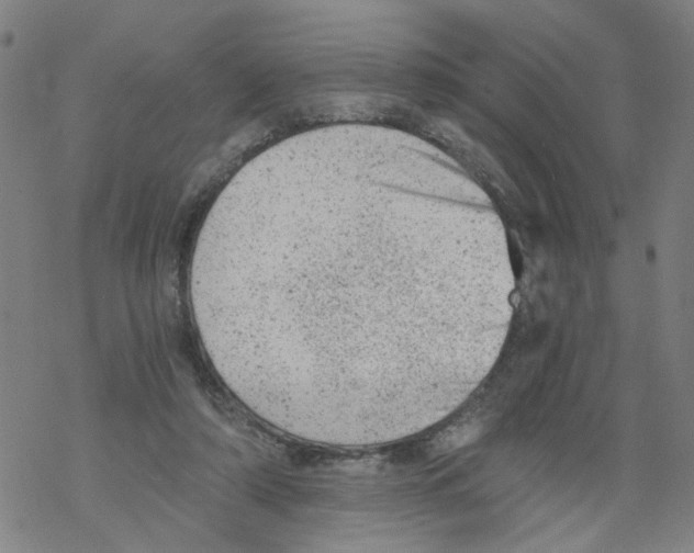 X0000068280306200605191900