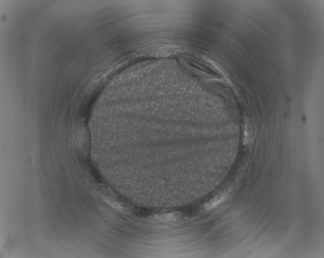 X0000068280307200605191900