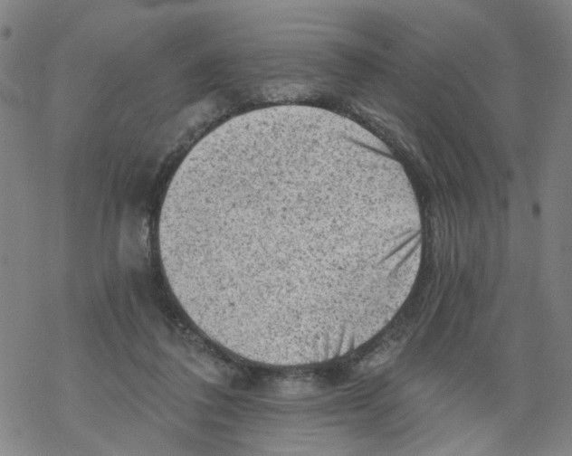 X0000068280308200605191900