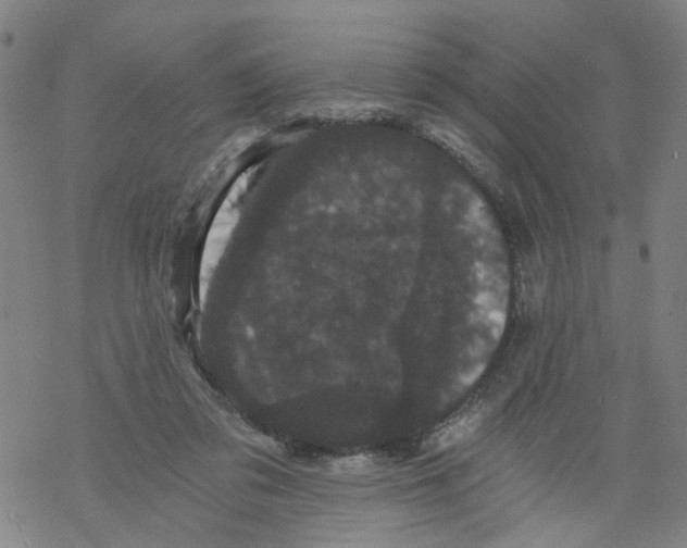 X0000068280309200605191900