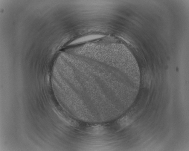 X0000068280310200605191900