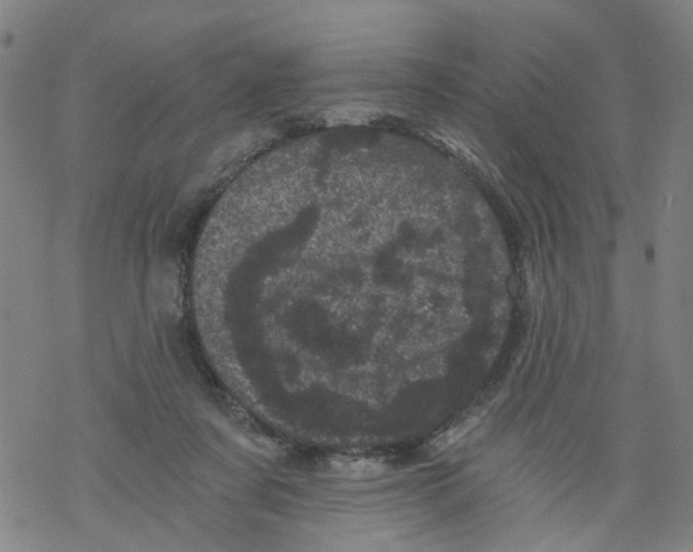 X0000068280311200605191900