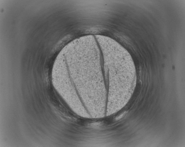 X0000068280312200605191900