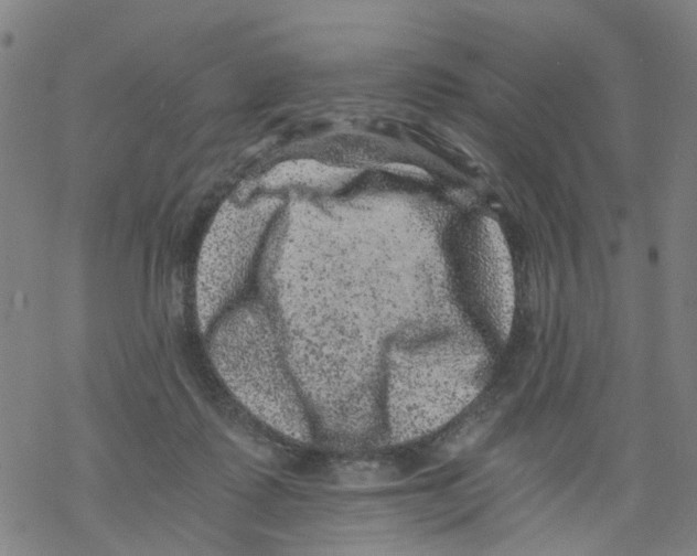 X0000068280315200605191900