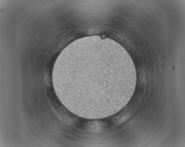 X0000068280316200605191900