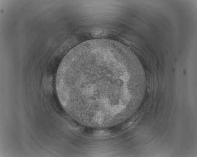 X0000068280319200605191900