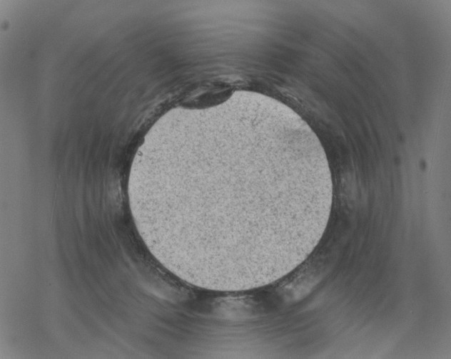 X0000068280320200605191900