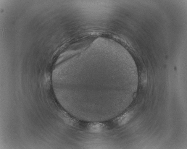 X0000068280321200605191900