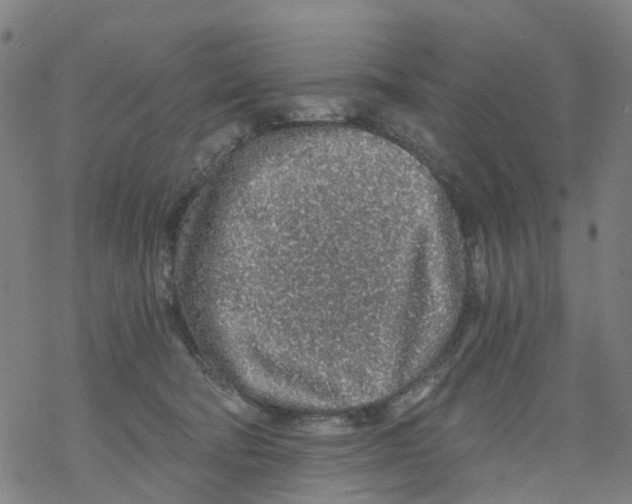 X0000068280322200605191900