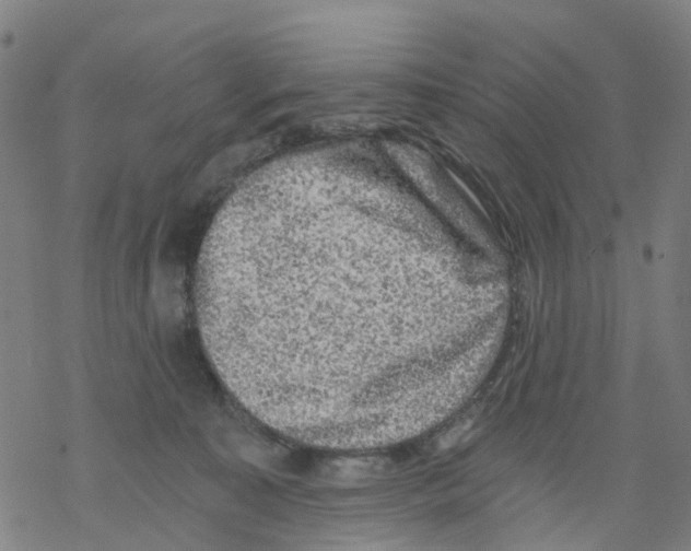 X0000068280323200605191900