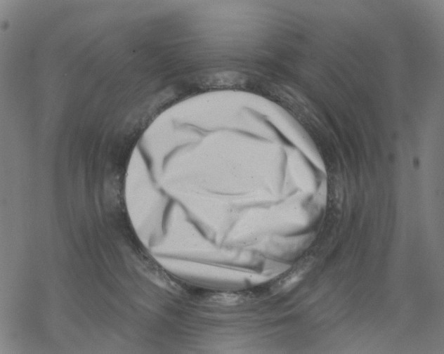 X0000068280326200605191859