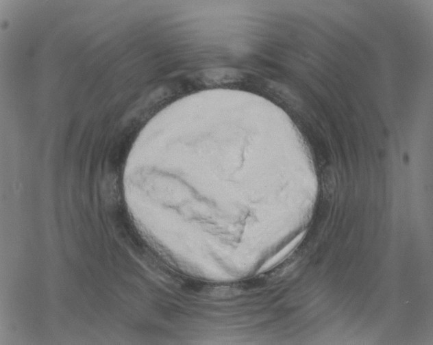 X0000068280327200605191859