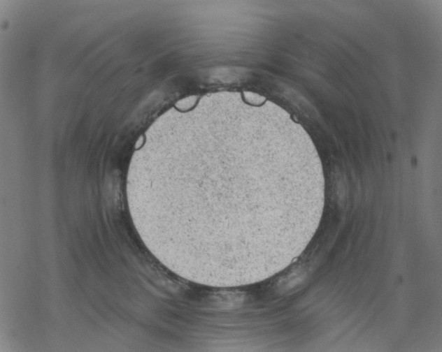 X0000068280328200605191859