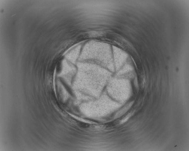 X0000068280329200605191859