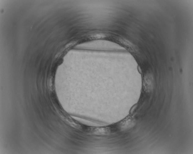 X0000068280330200605191859