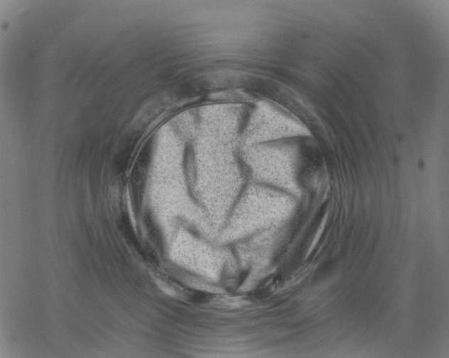 X0000068280333200605191859