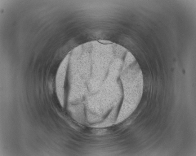 X0000068280334200605191859