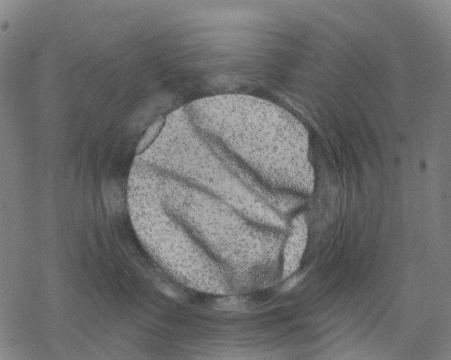 X0000068280335200605191859