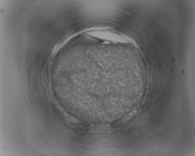 X0000068280337200605191859