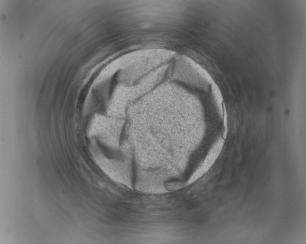 X0000068280338200605191859