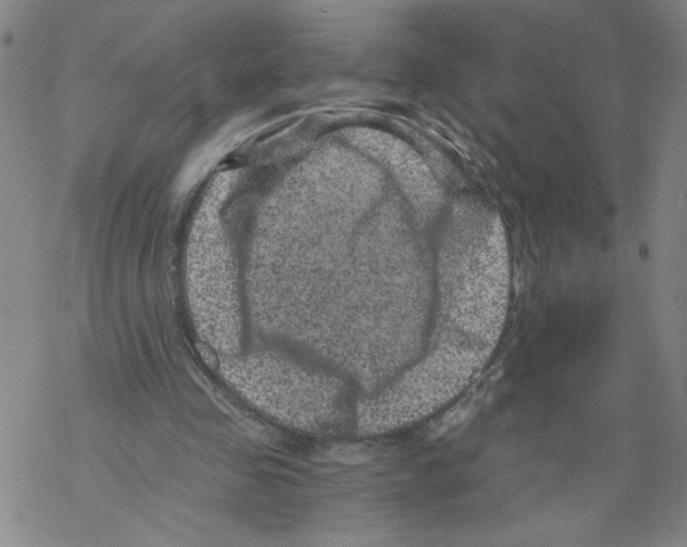 X0000068280341200605191859