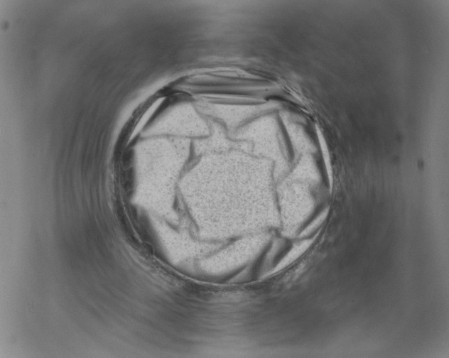 X0000068280342200605191859